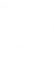 Evolution Gaming Logo